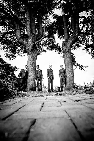 Wedding and Commercial Photographer