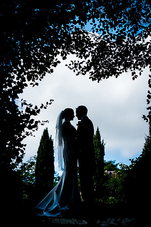 Wedding and Commercial Photographer