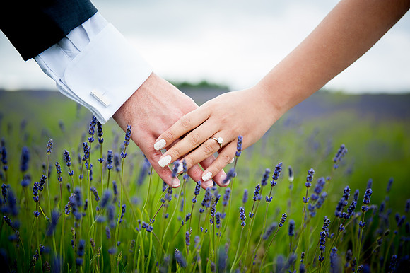 Wedding and Commercial Photographer