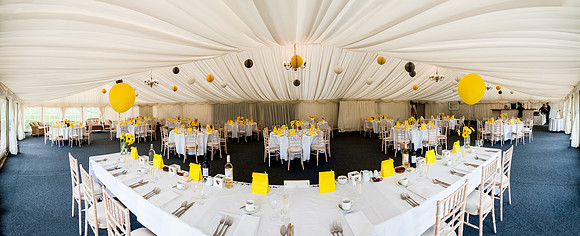 Wedding and Commercial Photographer