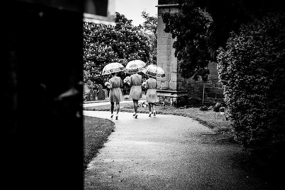 Wedding and Commercial Photographer