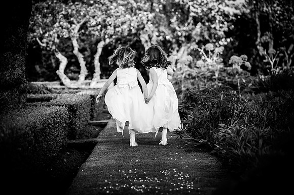 Wedding and Commercial Photographer